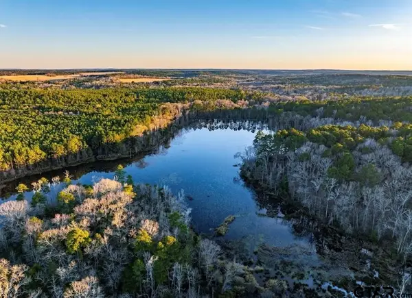 TBD ACR 314, Frankston, TX 75763