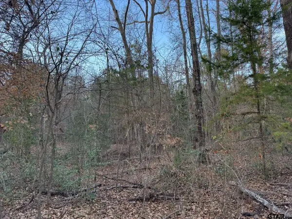 12415 County Road 217, Arp, TX 75750