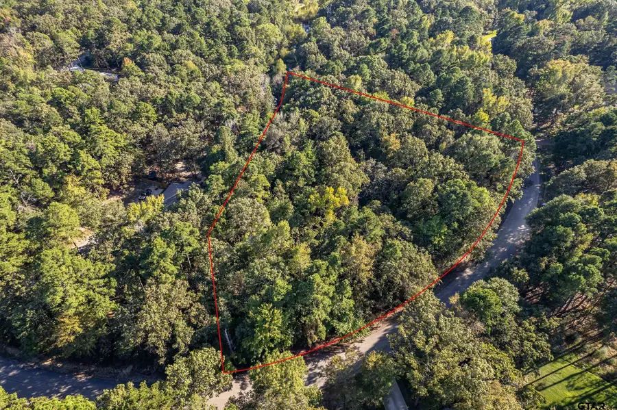 14632 Reserve Ct, Tyler, TX 75707 - Image #2