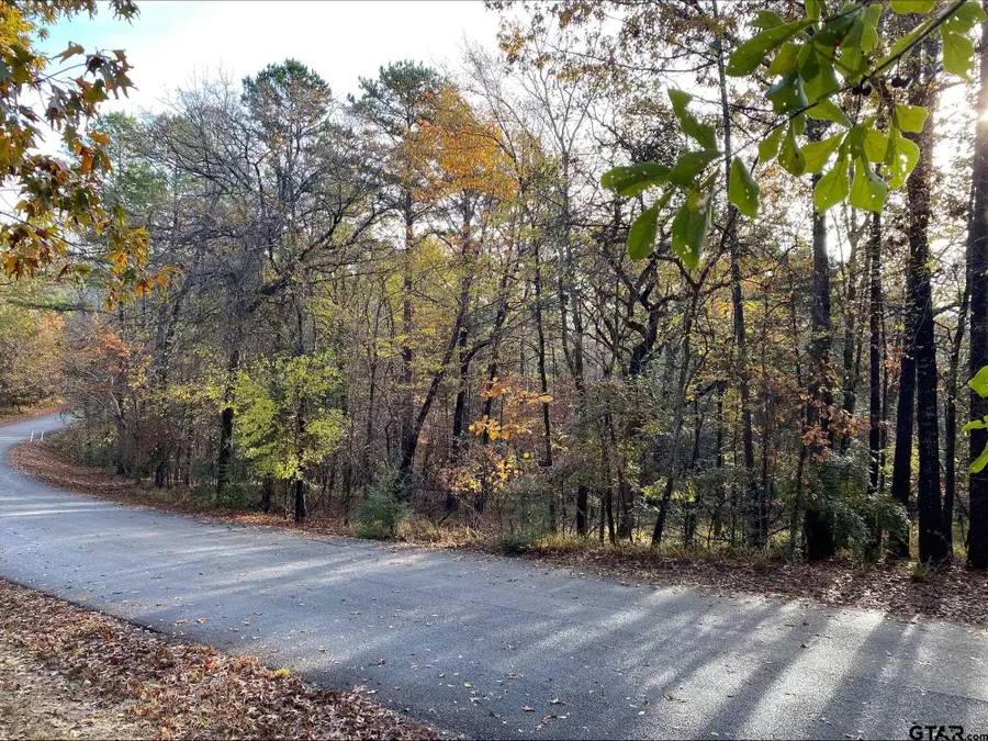 14632 Reserve Ct, Tyler, TX 75707 - Image #3