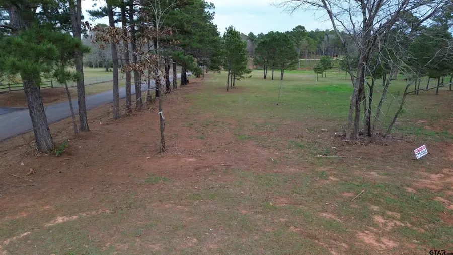 Tract 3 000 CR 3806, Bullard, TX 75757 - Image #3