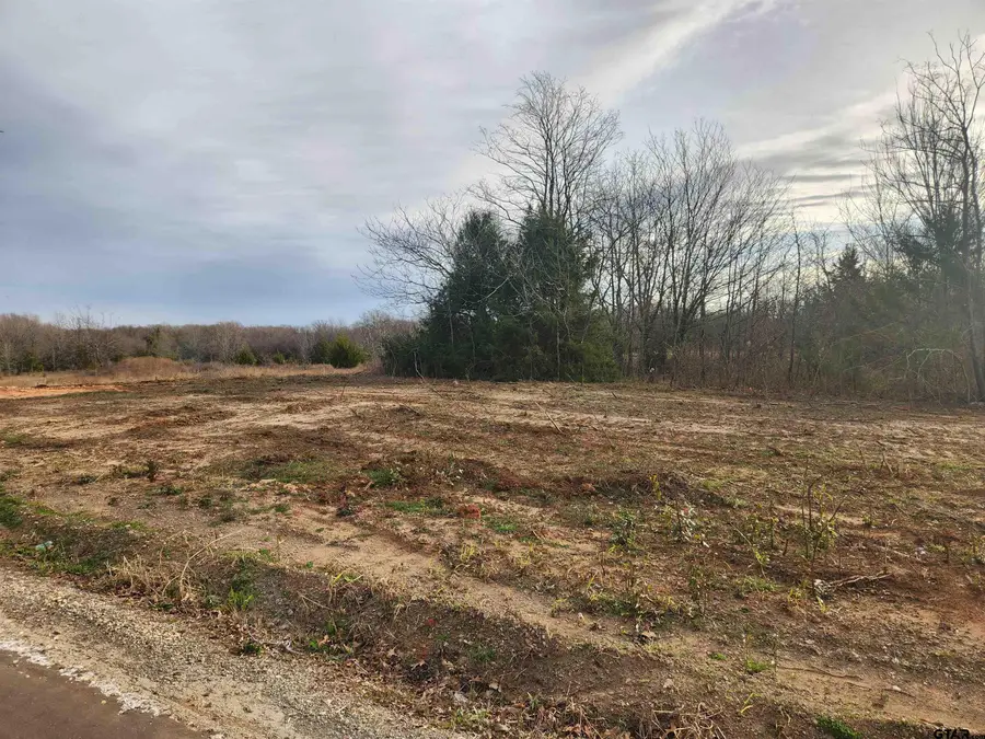 LOT 4 CR 2310, Sulphur Springs, TX 75482 - Image #2