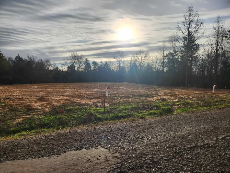 LOT 17 CR 2341, Sulphur Springs, TX 75482 - Image #2