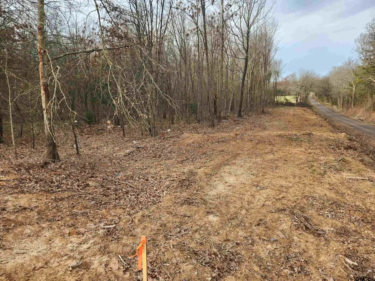 LOT 10 CR 2341, Sulphur Springs, TX 75482 - Image #1