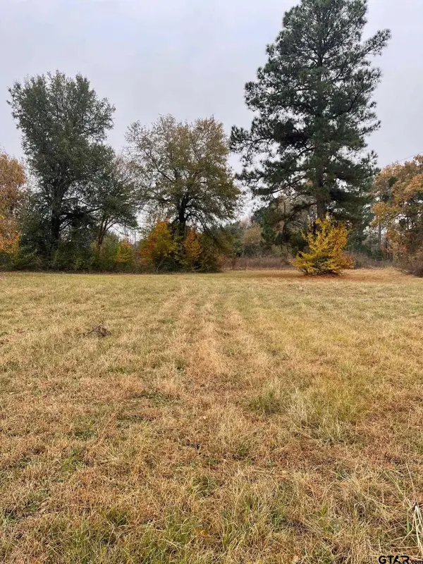 1393 CR 1128, Tyler, TX 75704