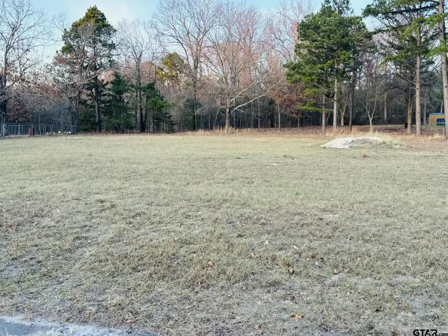 0 CR 2269, Mineola, TX 75773 - Image #2