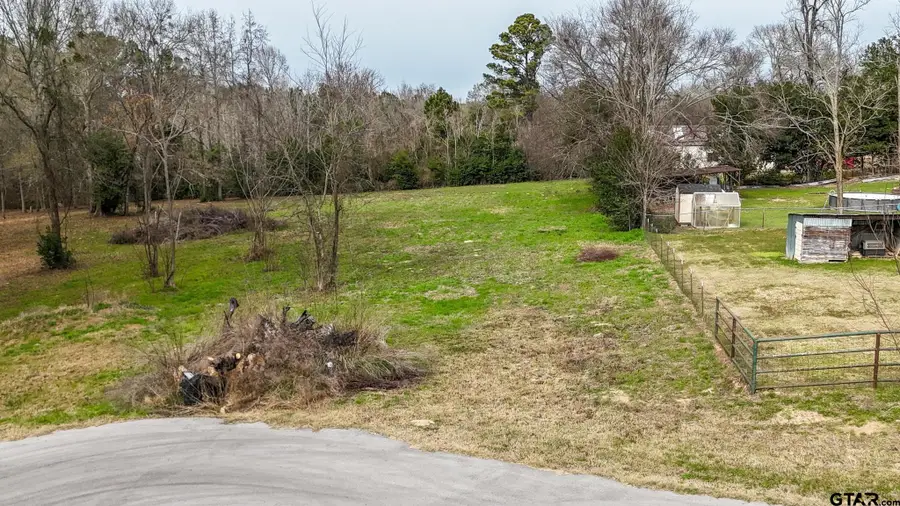 TBD Castleberry Rd (Lot 4), Brownsboro, TX 75756 - Image #3