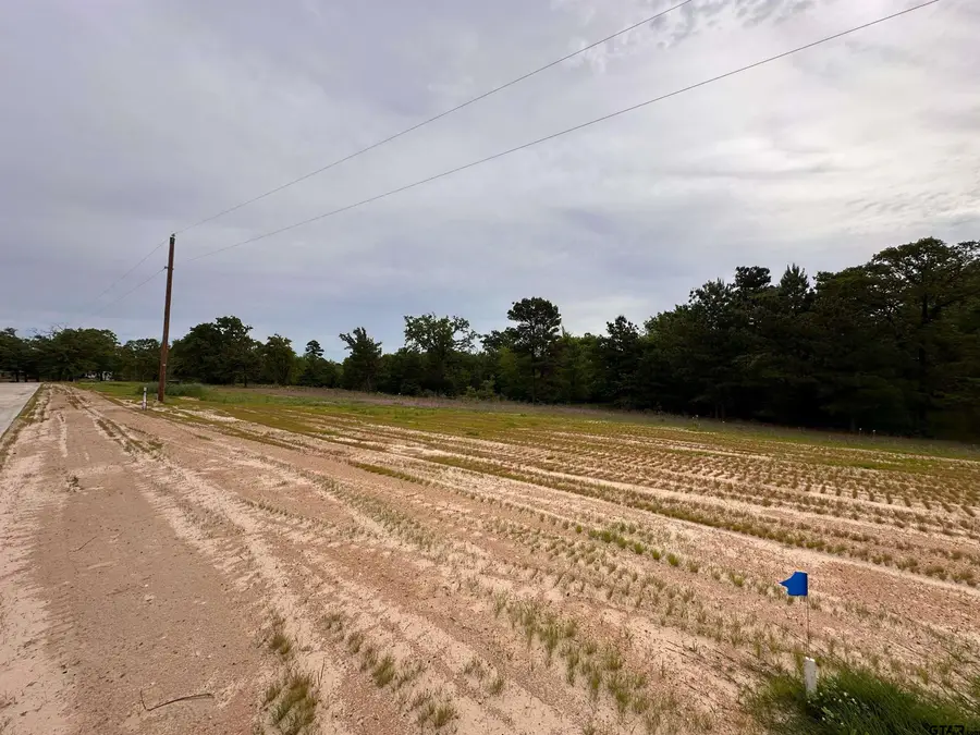 16934 Sawyer Way, Lindale, TX 75771 - #2