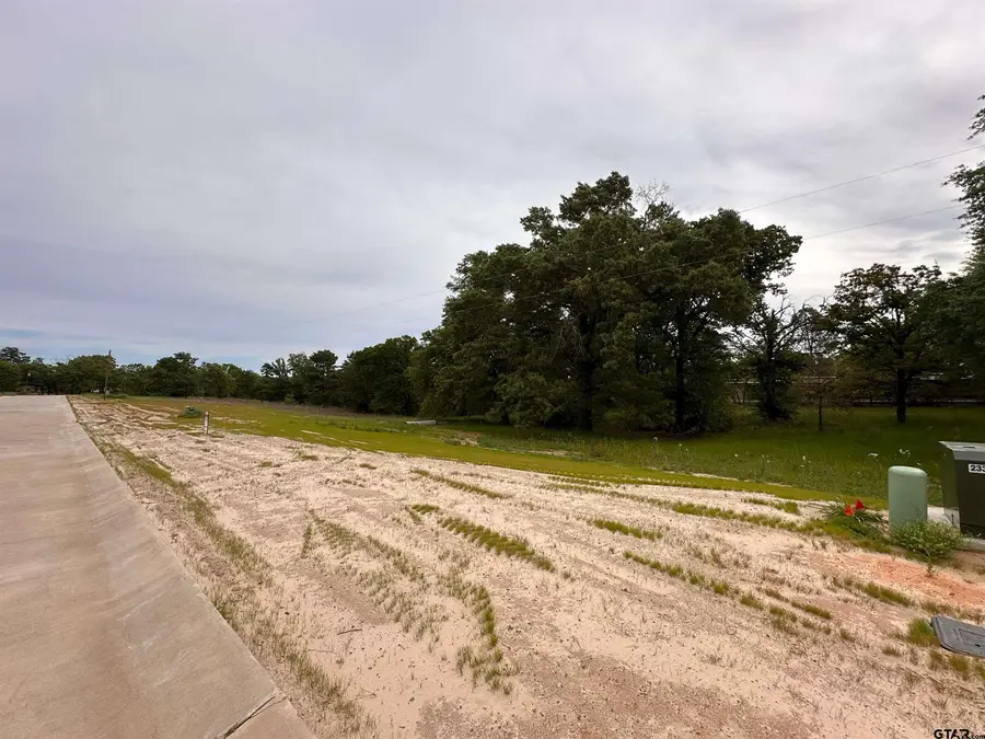 16918 Sawyer Way, Lindale, TX 75771 - #2