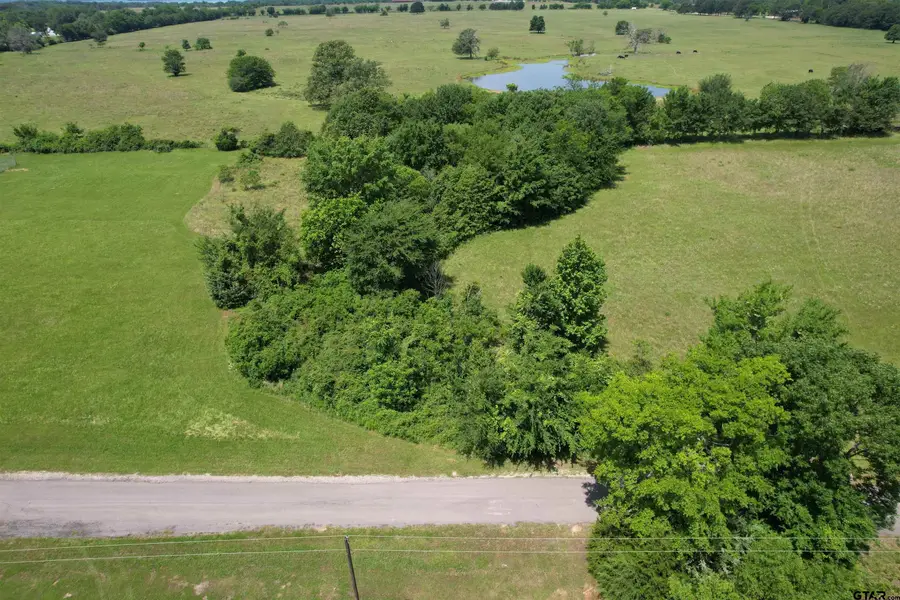 Lots 31-32 Private Road 5986, Yantis, TX 75497 - Image #2