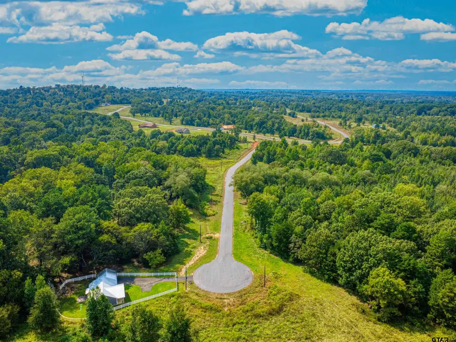 Lot 34 Creek Bottom Ct, Winona, TX 75792 - #2