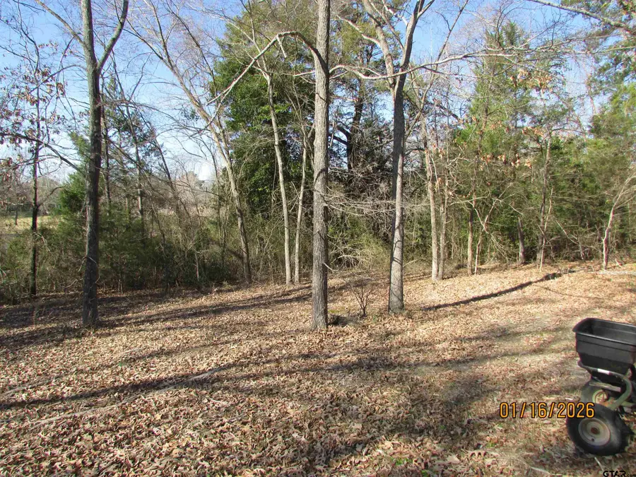 LT 65 E LAKE DRIVE, Murchison, TX 75778 - Image #2