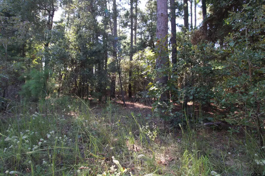 LOT 24 Briar Grove, Murchison, TX 75778 - Image #2