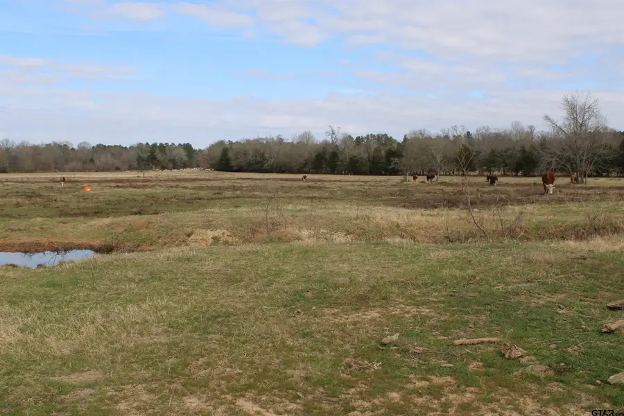 22571 CR 2138, Troup, TX 75789 - Image #3