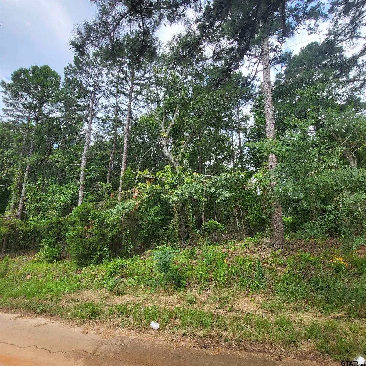 5381 County Road 380, Tyler, TX 75708 - Image #1