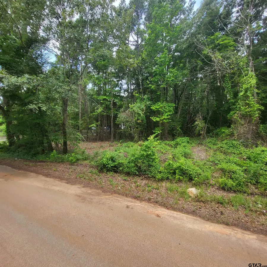 5381 County Road 380, Tyler, TX 75708 - Image #2