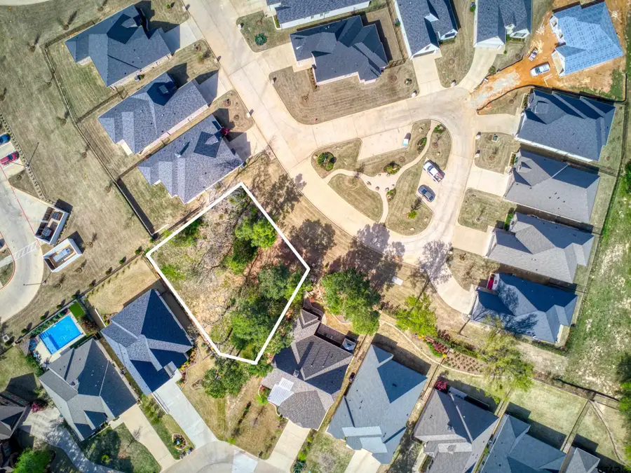 7318 Crosswater Cv, Tyler, TX 75703 - Image #2