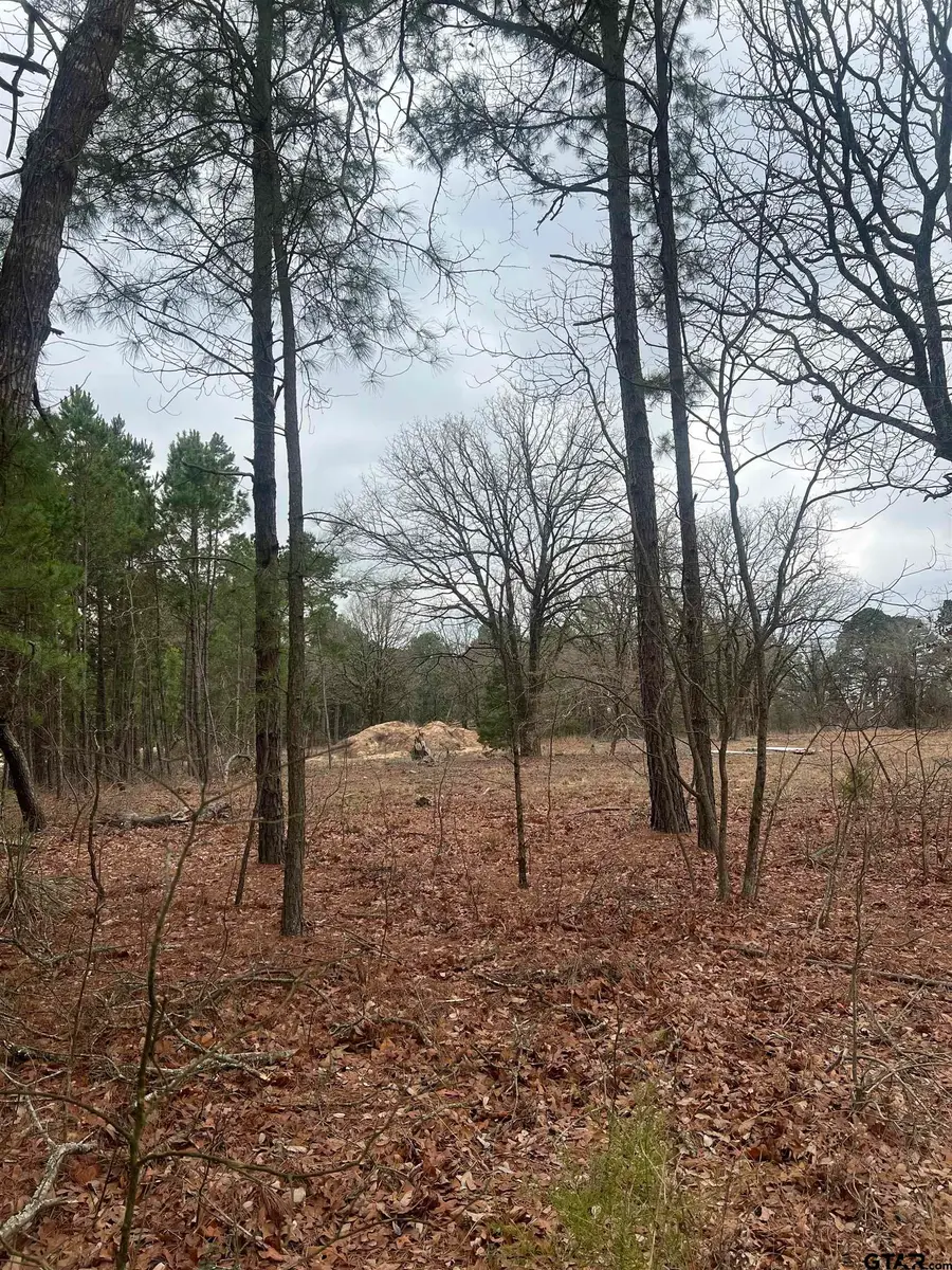 19215 FM 1804, Lindale, TX 75771 - Image #2