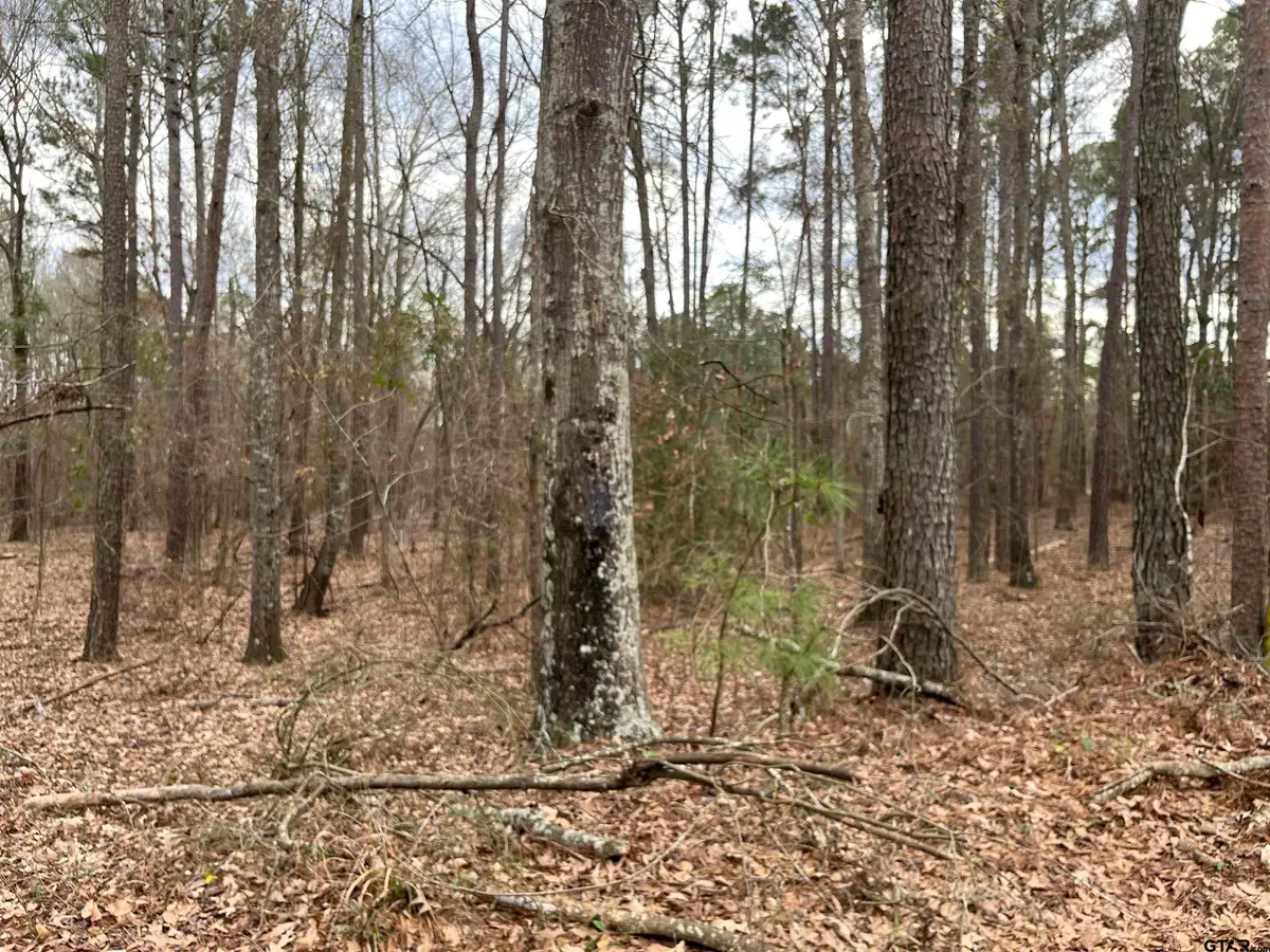 Tract 2 Venus Rd, White Oak, TX 75693 - #1