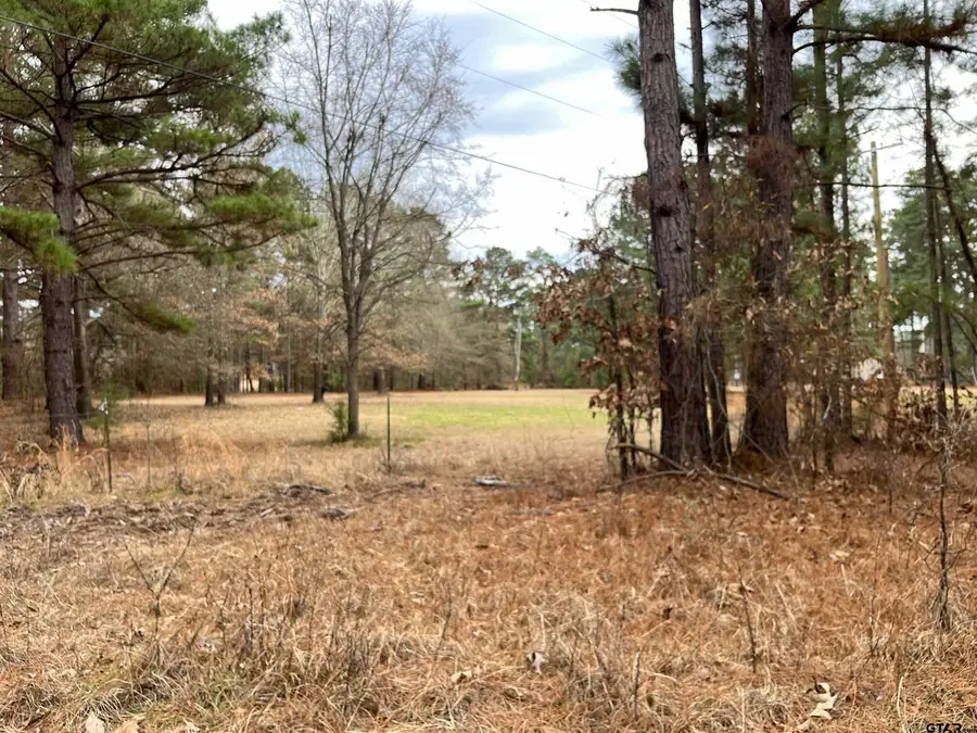Tract 2 Venus Rd, White Oak, TX 75693 - #2