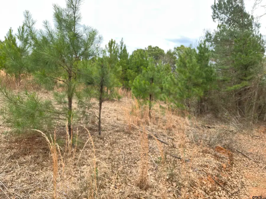 Tract 2 Venus Rd, White Oak, TX 75693 - #3