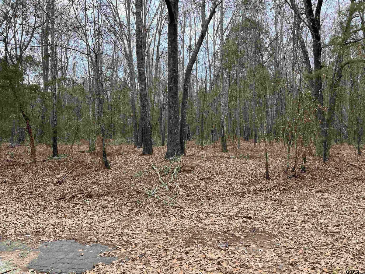 Tract 4 Venus Rd, White Oak, TX 75693 - #1