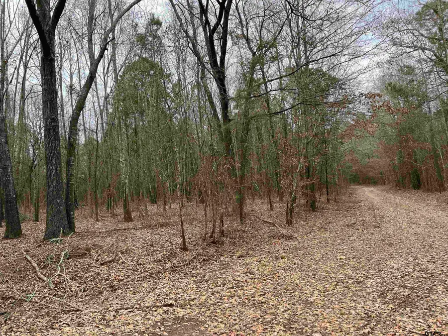 Tract 4 Venus Rd, White Oak, TX 75693 - #2