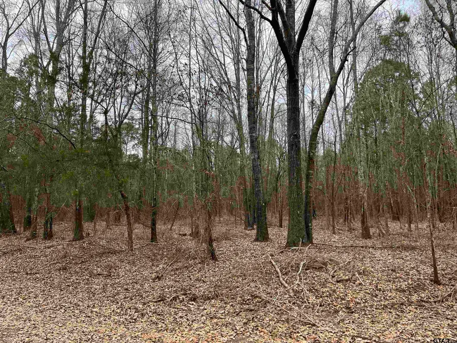 Tract 4 Venus Rd, White Oak, TX 75693 - #3