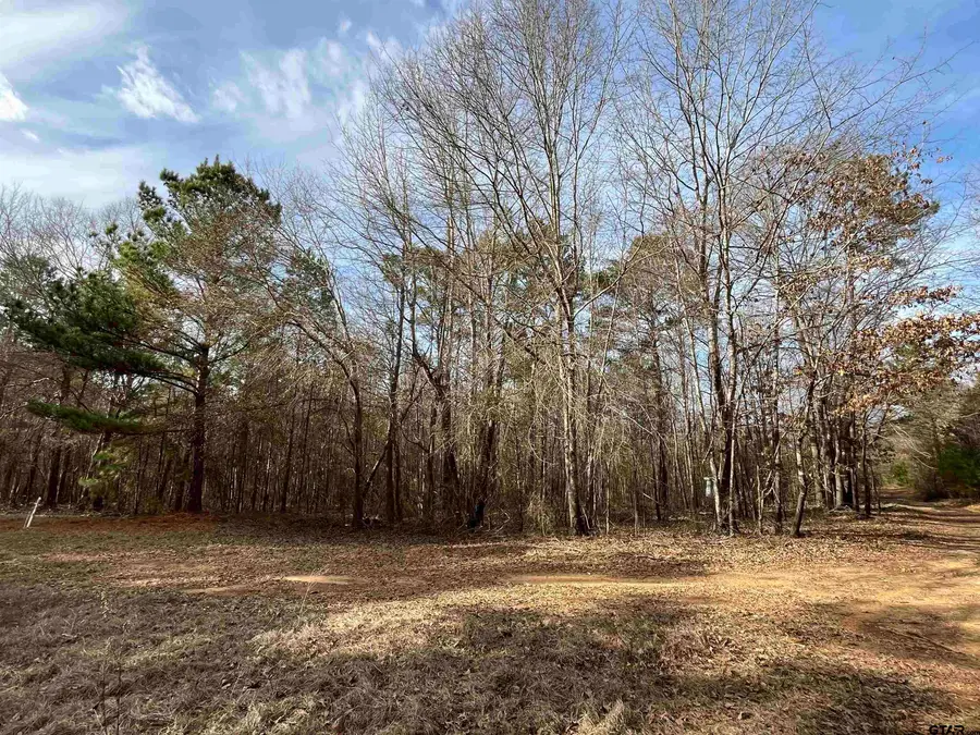 Tract 5 Venus Rd, White Oak, TX 75693 - #2