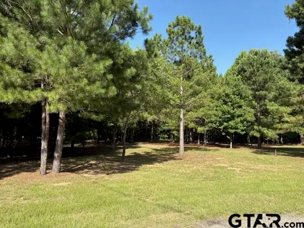 208 Pack Saddle Ridge, Holly Lake Ranch, TX 75765