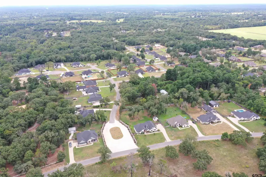 388 Private Road 6235, Mineola, TX 75773 - #2
