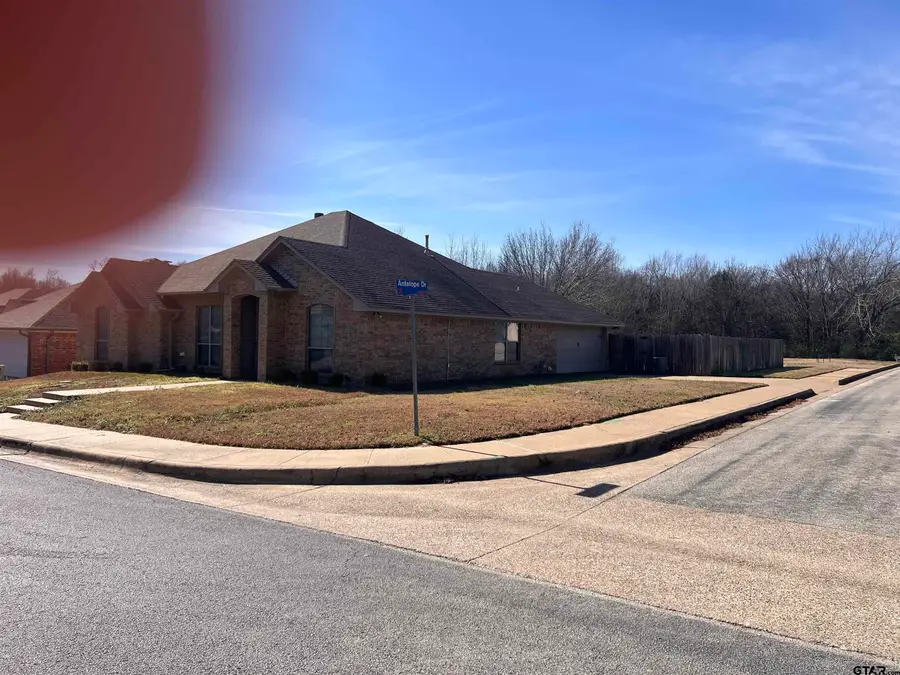 19482 Ruggles Ct, Flint, TX 75762 - Image #3