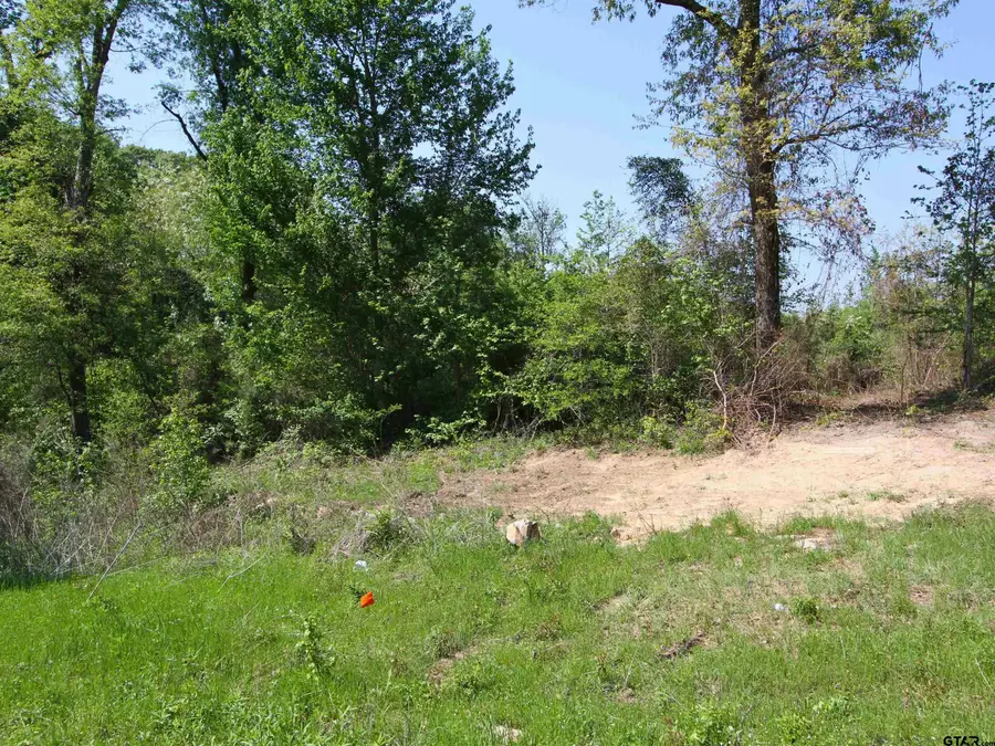 19963 E Highway 31, Tyler, TX 75705 - Image #2