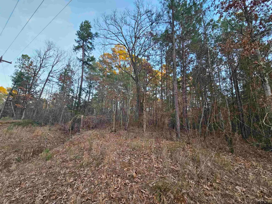 9557 Fm 726, Gilmer, TX 75644 - #2