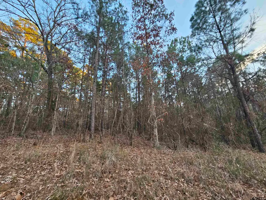 9557 Fm 726, Gilmer, TX 75644 - #3