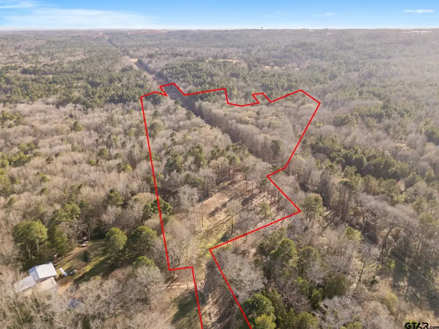 968 County Road 3908, Jacksonville, TX 75766 - Image #3