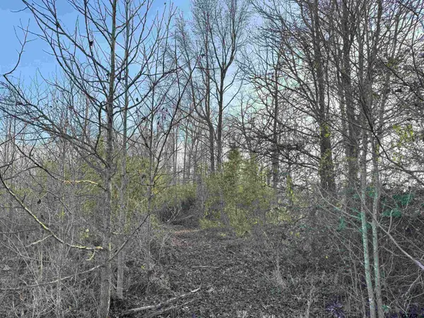 TBD County Road 4740, Mt Pleasant, TX 75455