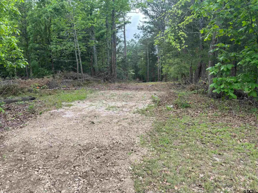 TBD ZINNIA RD, Diana, TX 75640 - #2