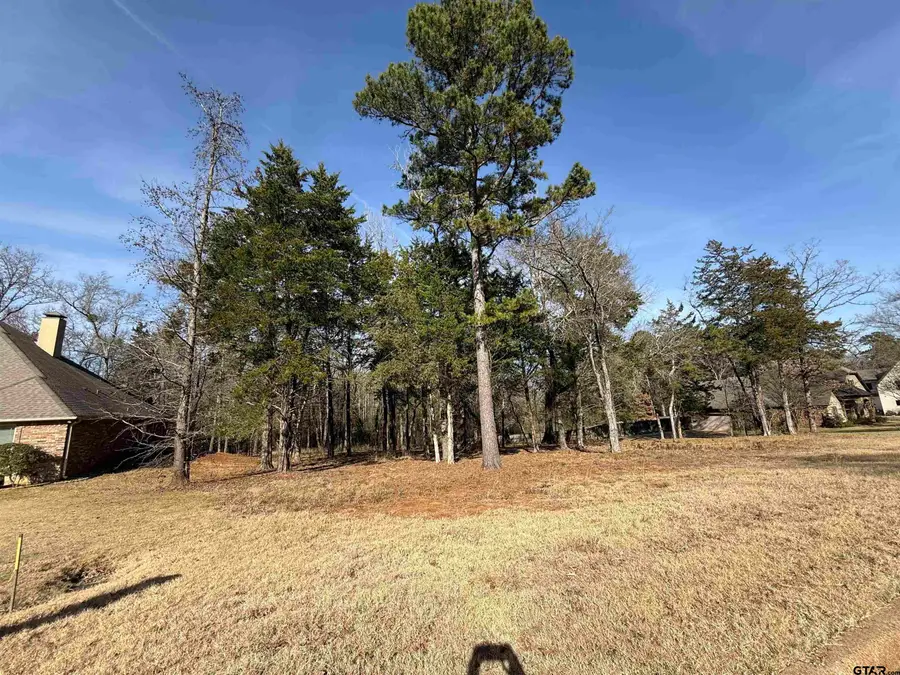 290 Oak Grove Way, Bullard, TX 75757 - Image #3