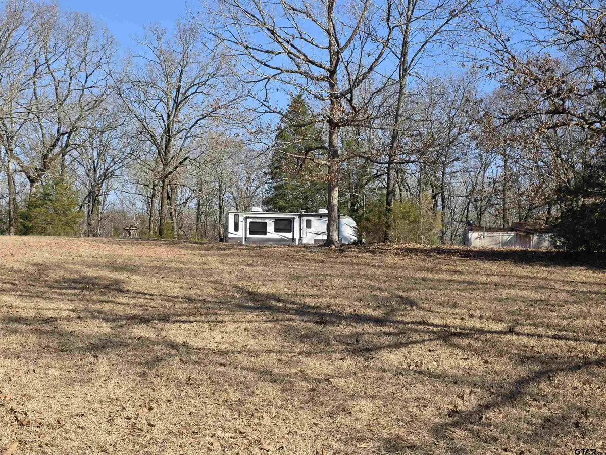 1191 County Road 3333, Omaha, TX 75571 - #1