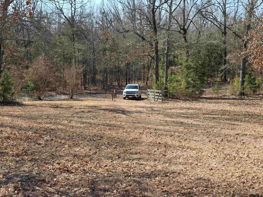 1191 County Road 3333, Omaha, TX 75571 - #2