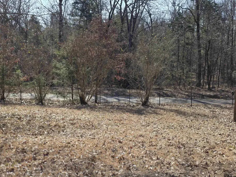 1191 County Road 3333, Omaha, TX 75571 - #3