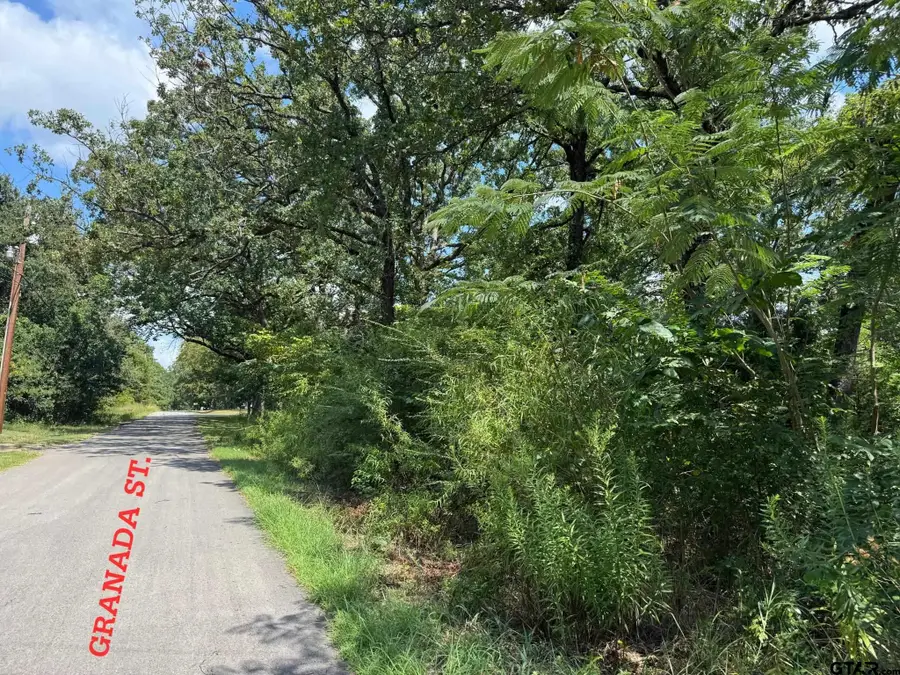 0 Hidalgo Loop, Mabank, TX 75156 - #2