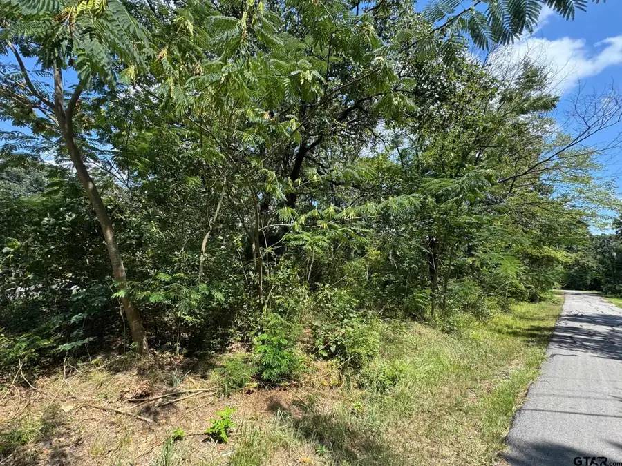 0 Hidalgo Loop, Mabank, TX 75156 - #3