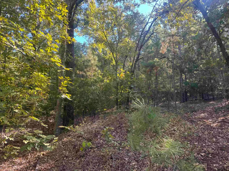 TBD FM 346, Tyler, TX 75703 - Image #3