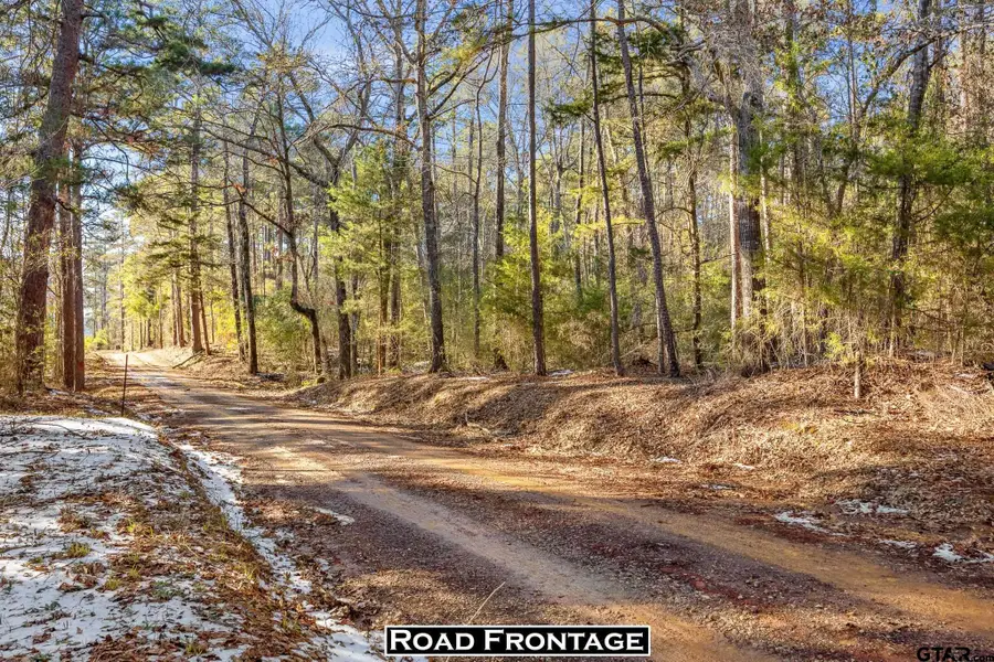 TBD County Road 2126, Rusk, TX 75785 - #2