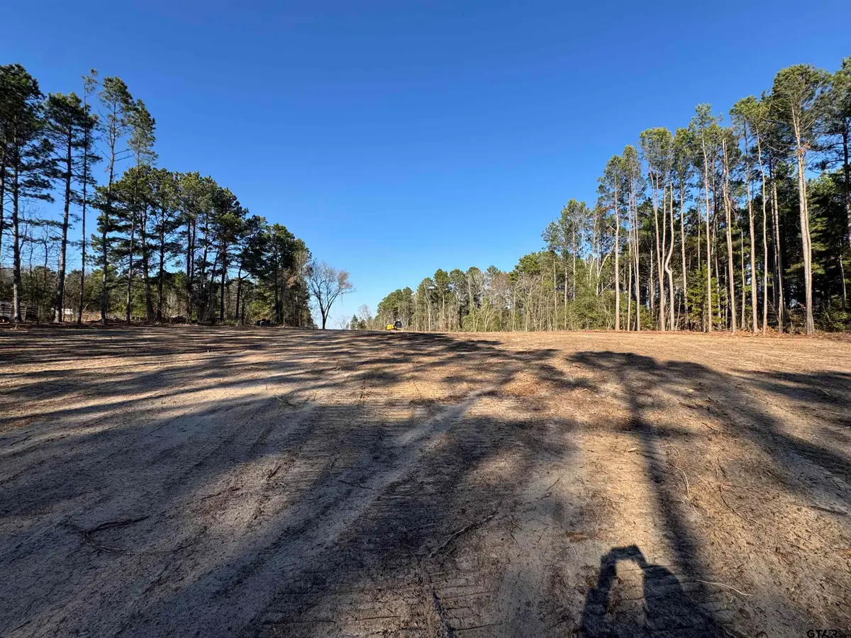 TBD HWY 271, Gladewater, TX 75647 - #1