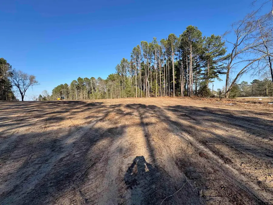 TBD HWY 271, Gladewater, TX 75647 - #3