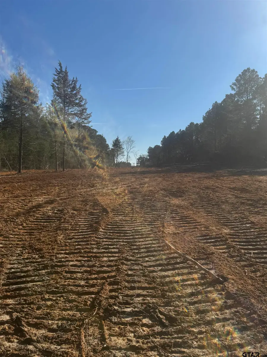TBD County Road 366, Gladewater, TX 75647 - #2