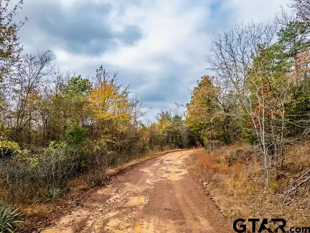TBD N Hwy 259, Lone Star, TX 75668 - #2